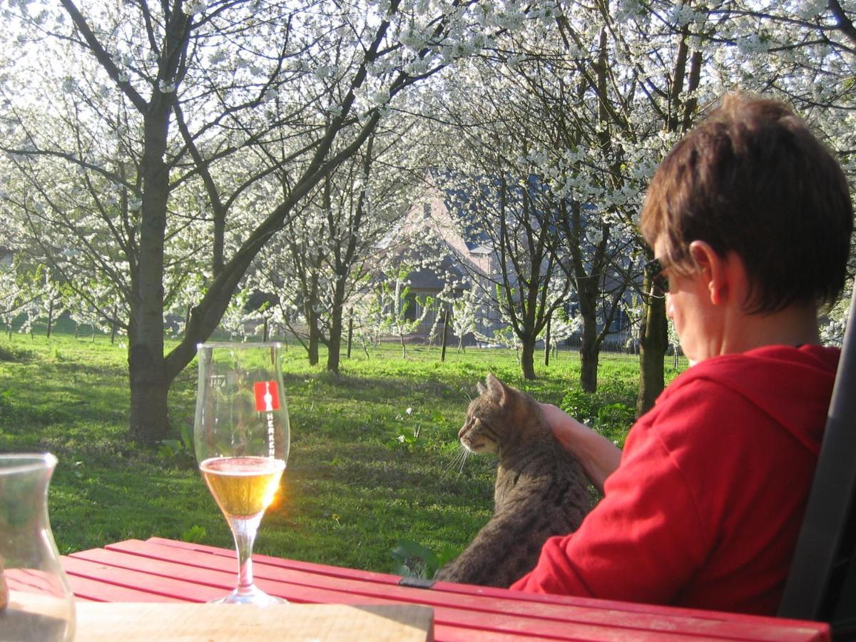 B&B Casa De Paja Sint-Truiden Luaran gambar